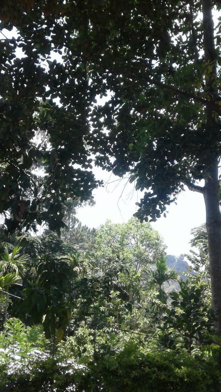 Jaye Homestay Ella Exterior foto